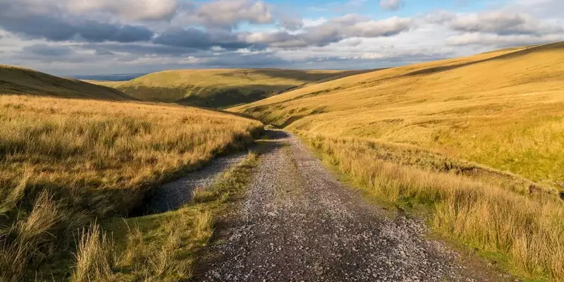 Jersey gemütlich erwandern - Bild 13