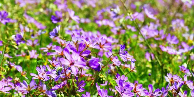 Albanien abseits ausgetretener Pfade: Geheime Pfade und herzliche Begegnungen - Bild 8