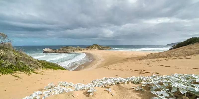 Südafrika - Wanderreise entlang der Garden Route - Bild 2