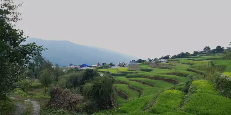 Nepal – Annapurna Panorama Lodge-Trek - Bild 16