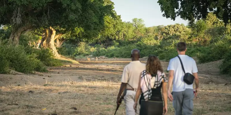 Südafrika - Afrikas Wildnis im Nordosten hautnah erleben - Bild 3