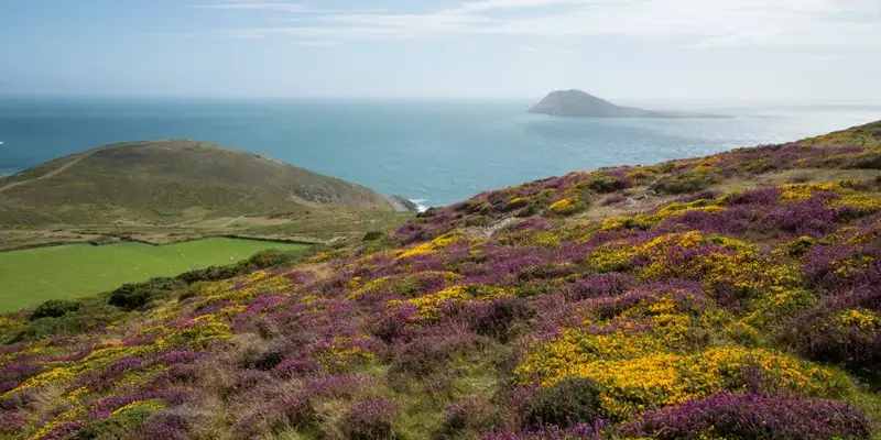 Jersey gemütlich erwandern - Bild 4