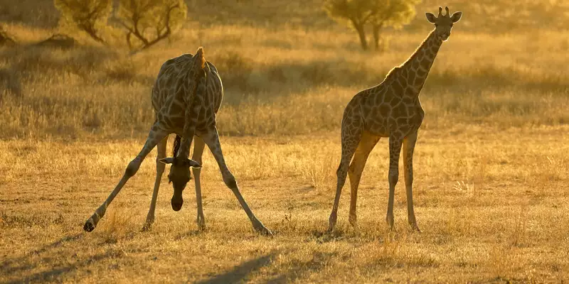 Namibia komfortabel erwandern - Bild 10