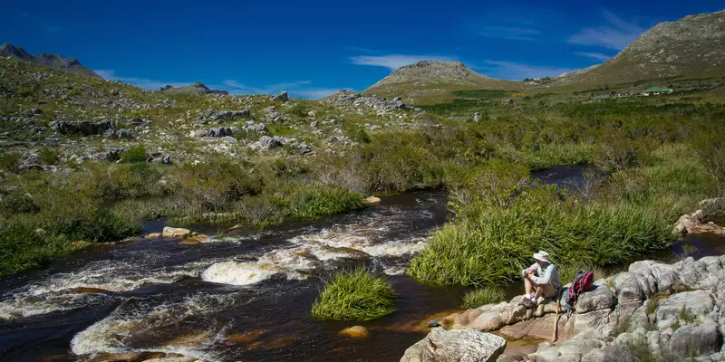 Südafrika - die Highlights der Kapregion entdecken - Bild 13