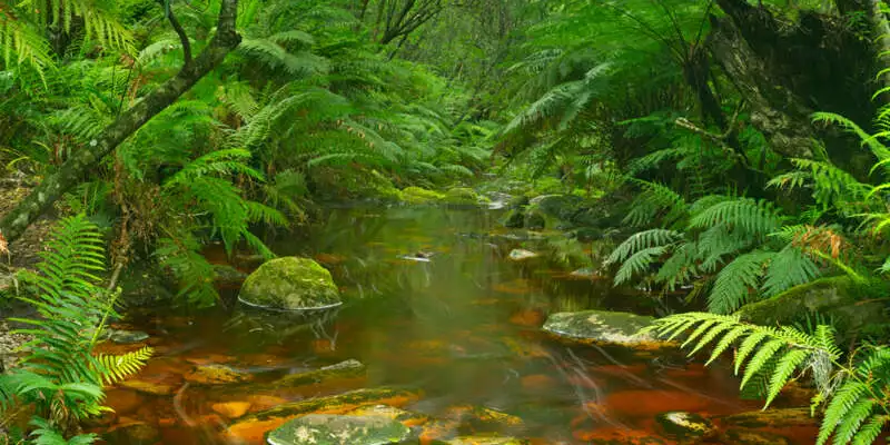 Südafrika - Wanderreise entlang der Garden Route - Bild 1