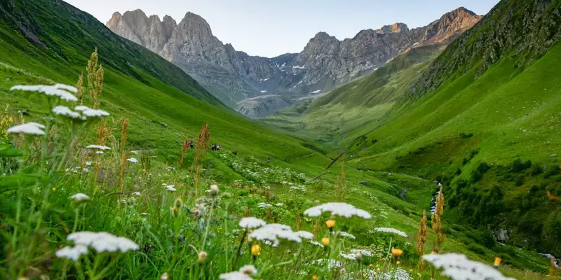 Georgien für Einsteiger: Naturwunder und Kulturschätze im Herzen des Kaukasus - Bild 24