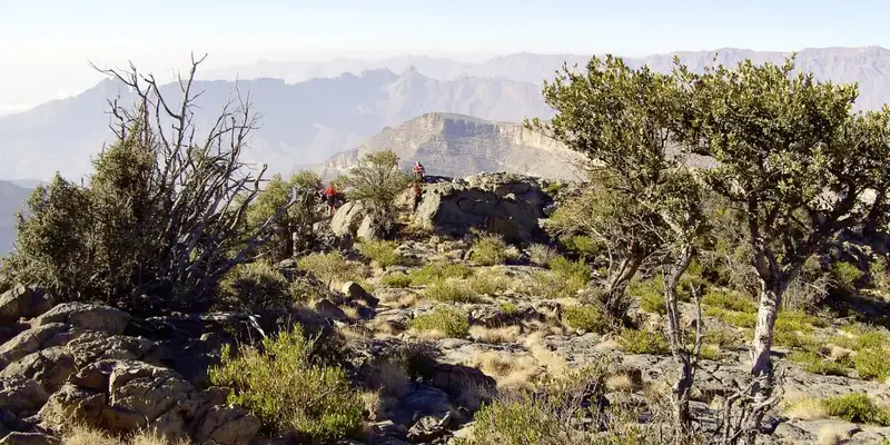 Oman - Anspruchsvolles Trekking im Sultanat - Bild 11