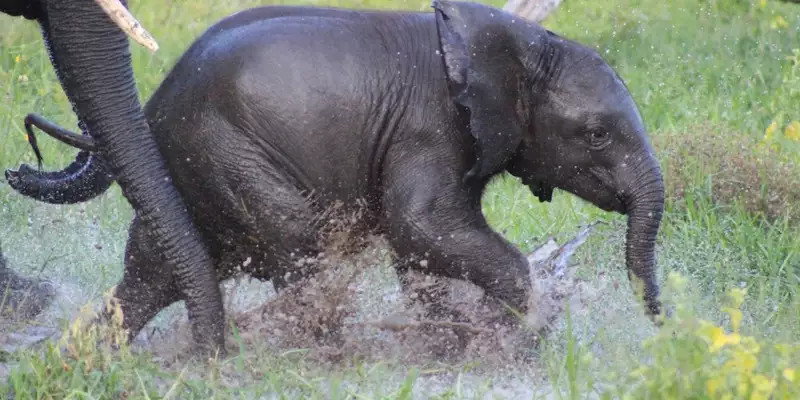 Südafrika, Namibia, Botswana, Simbabwe - Entdeckungsreise durch das südliche Afrika - Bild 13