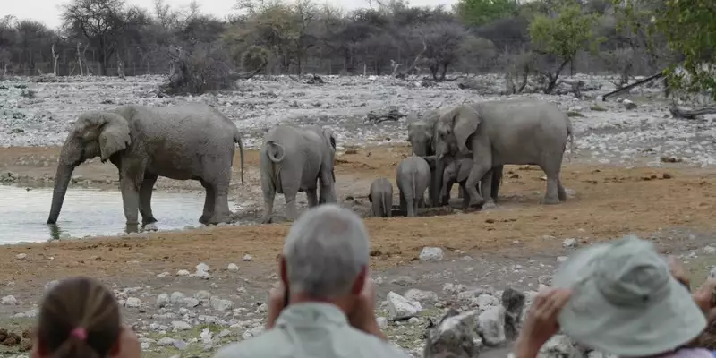 Namibias Naturwunder: Farbenpracht und grenzenlose Weite - Bild 12