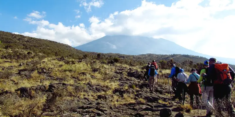 Kilimanjaro: Lemosho-Route (Northern Circuit)  - Bild 15
