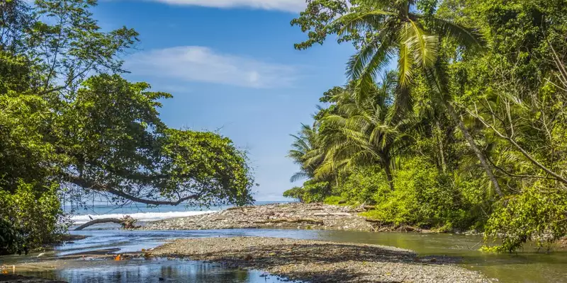 Costa Rica - Entdeckungsreise zu unberührten Nationalparks und lebendiger Kultur - Bild 7