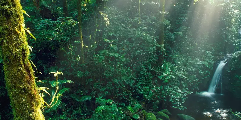 Costa Rica naturnah erwandern - Bild 13