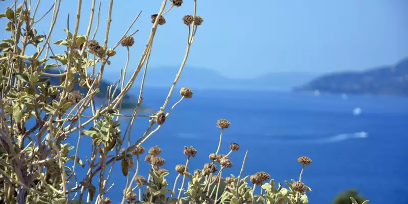 Albanien & Nordmazedonien  - Bild 8