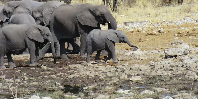 Namibias Naturwunder: Farbenpracht und grenzenlose Weite - Bild 24