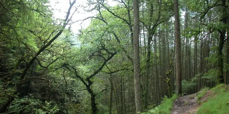 Schottland - West Highland Way - 8 Tage - Bild 6