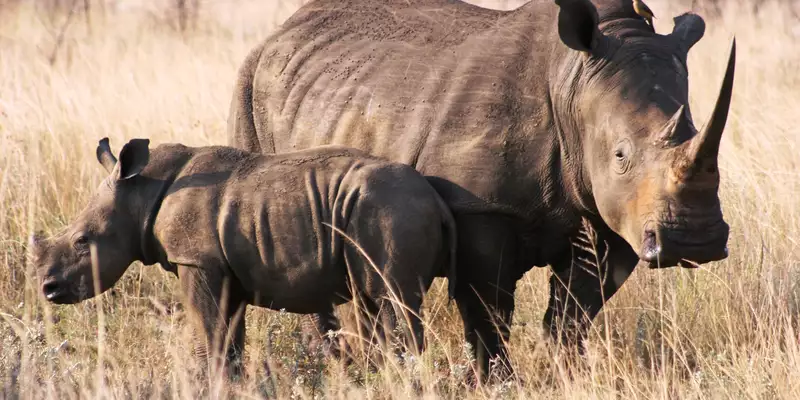 Südafrika - die Highlights der Kapregion entdecken - Bild 11