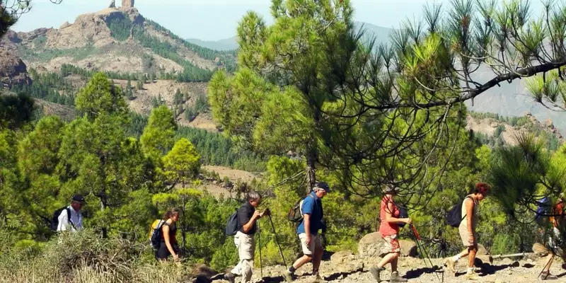 Die Highlights Gran Canarias erwandern - Bild 1