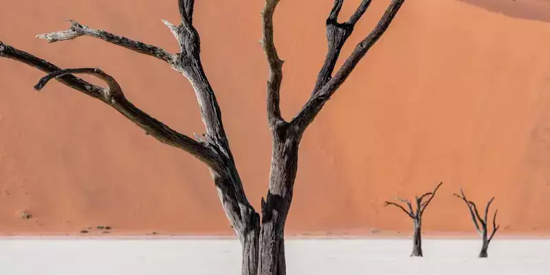Namibia - die Wunderwelt der Wüsten - Bild 21