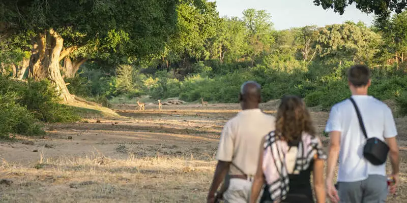 Südafrika - Drakensberge & Safari im Nordosten - Bild 6