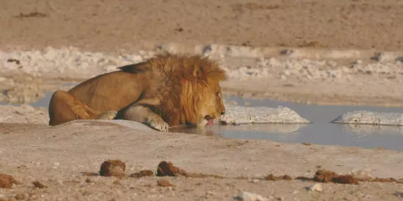 Namibias Highlights erleben - Bild 12