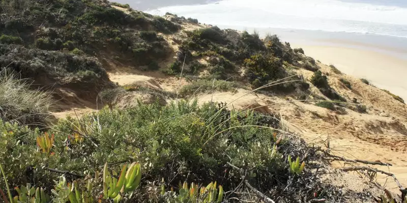 Entlang der Atlantikküste Portugals: Wilde Schönheit und bunte Hafenstädtchen - Bild 11