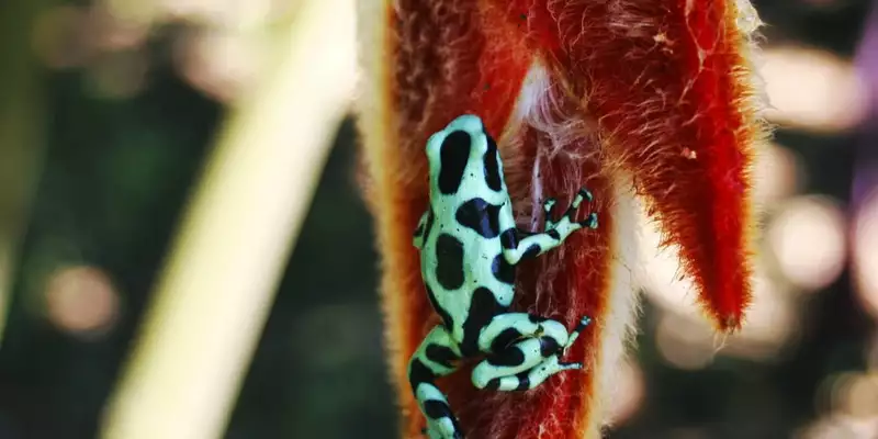 Costa Rica - Entdeckungsreise zu unberührten Nationalparks und lebendiger Kultur - Bild 18