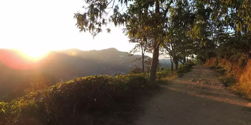 Magisches Sri Lanka - Eine Reise durch Geschichte, Natur und Kultur - Bild 17