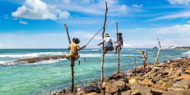 Sri Lankas Highlights erleben – Aktivreise durch Kultur und Natur - Bild 3