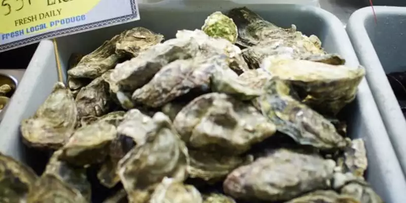 Jersey gemütlich erwandern - Bild 8