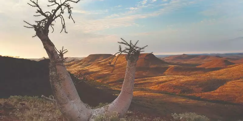 Namibias Highlights erleben - Bild 7