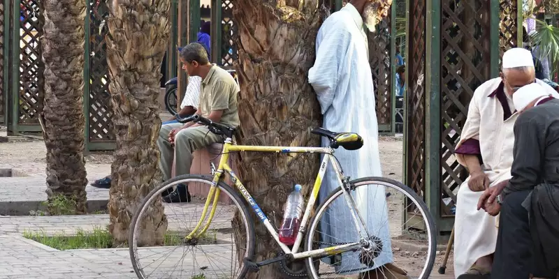 Marokko - Viertausender des Hohen Atlas - Bild 17