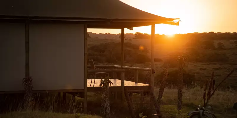 Südafrika - die Highlights der Kapregion entdecken - Bild 6