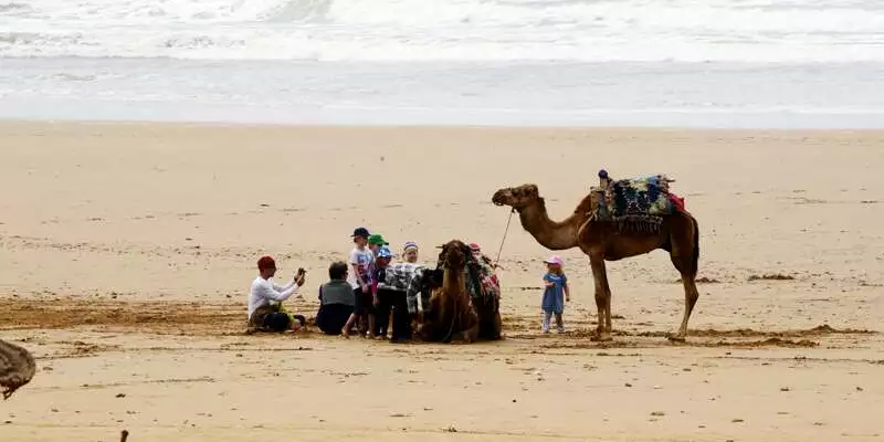 Marokko - Kameltrekking entlang des Atlantiks - Bild 1