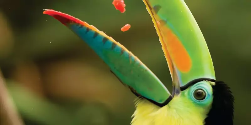 Costa Rica naturnah erwandern - Bild 16