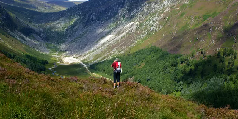 Irland - die Wicklows gemütlich erwandern - Bild 16