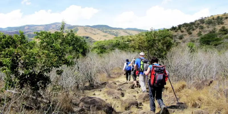 Costa Rica - Entdeckungsreise zu unberührten Nationalparks und lebendiger Kultur - Bild 17