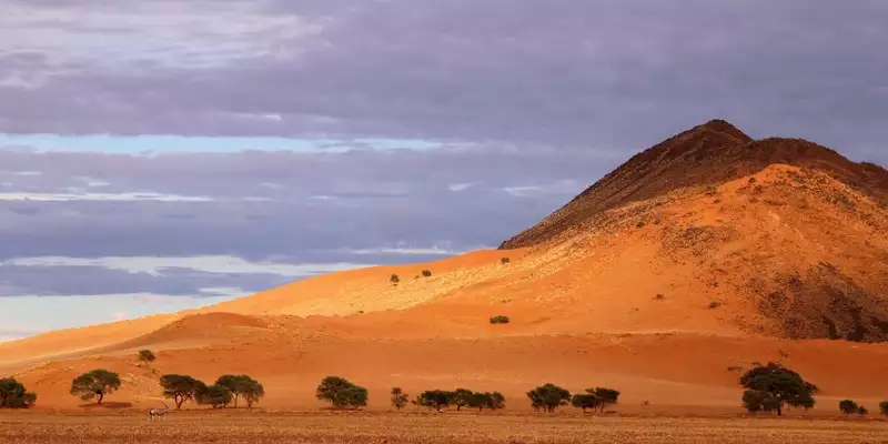 Namibias Naturwunder: Farbenpracht und grenzenlose Weite - Bild 3