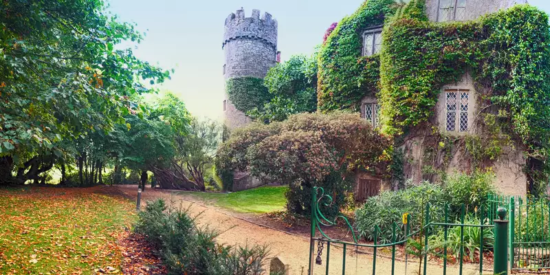 Irland - die Wicklows gemütlich erwandern - Bild 1