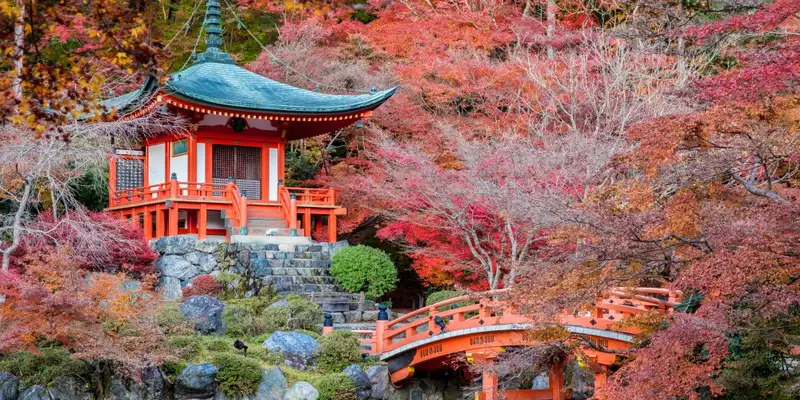 Japan: Kirschblüte oder Herbstlaub zaubern Farbenwunder - Bild 1