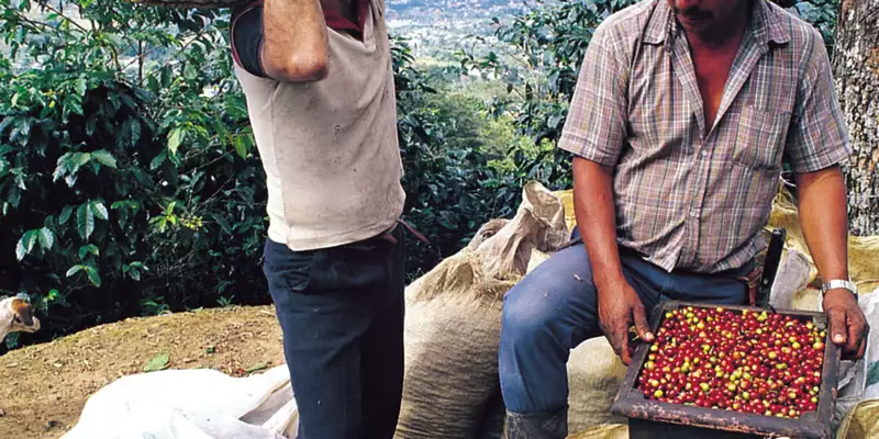 Costa Ricas Highlights entdecken - Bild 10