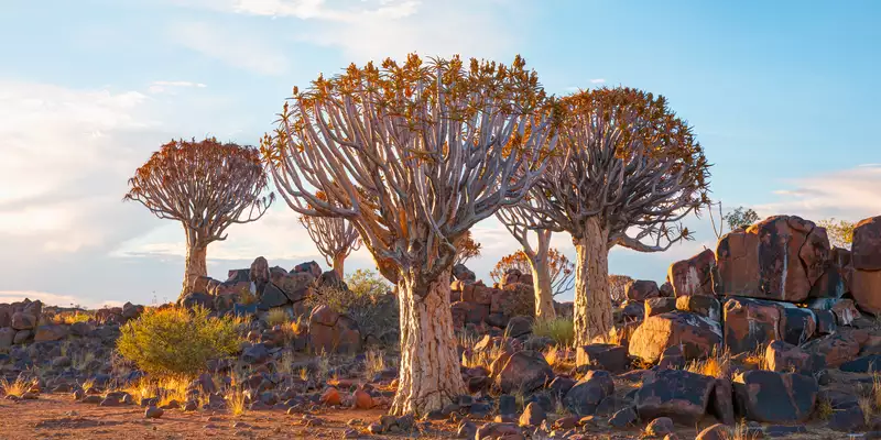 Namibia komfortabel erwandern - Bild 1