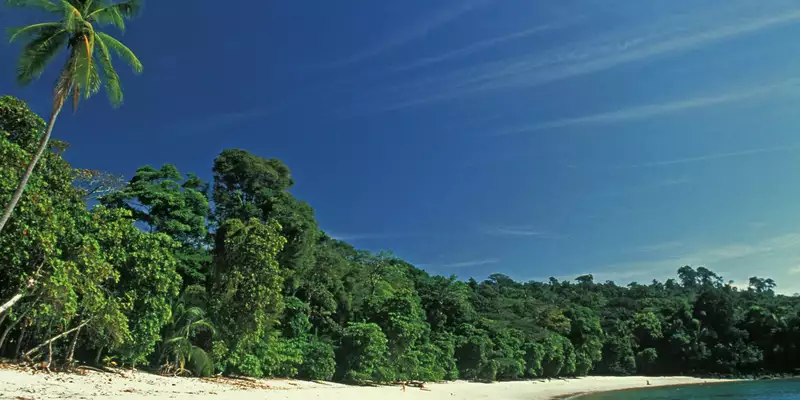 Costa Rica naturnah erwandern - Bild 15