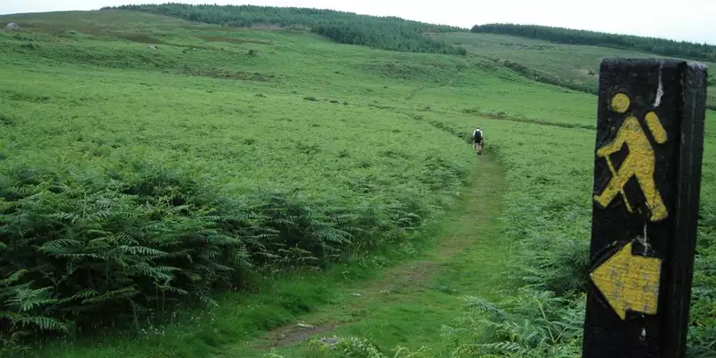 Irland individuell- In 8 Tagen entlang des Wicklow Ways - Bild 3