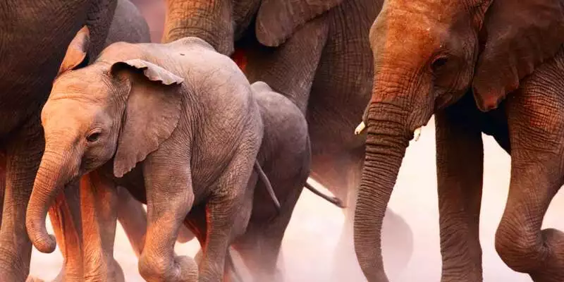 Südafrika - Drakensberge & Safari im Nordosten - Bild 12