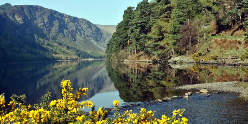 Irland - die Wicklows gemütlich erwandern - Bild 3