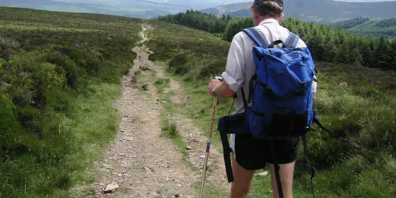 Irland individuell- In 8 Tagen entlang des Wicklow Ways - Bild 5