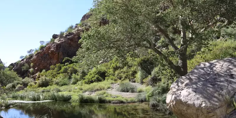 Namibia - die Wunderwelt der Wüsten - Bild 18