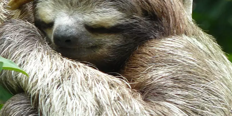 Costa Rica naturnah erwandern - Bild 7