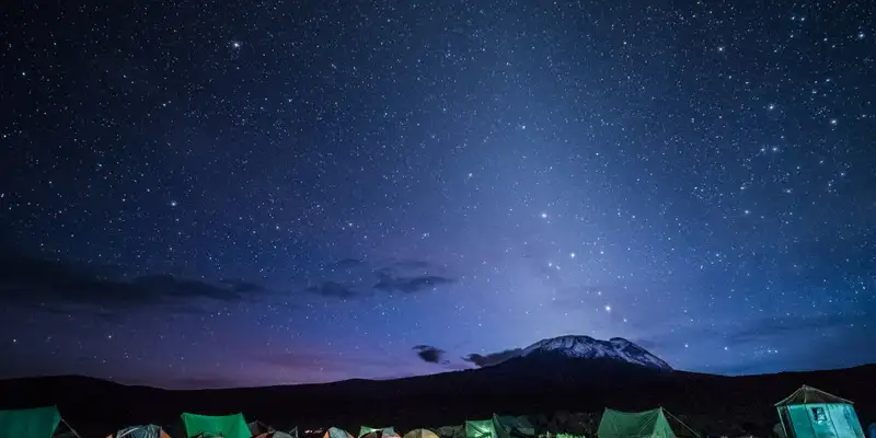 Kilimanjaro: Lemosho-Route (Northern Circuit)  - Bild 8