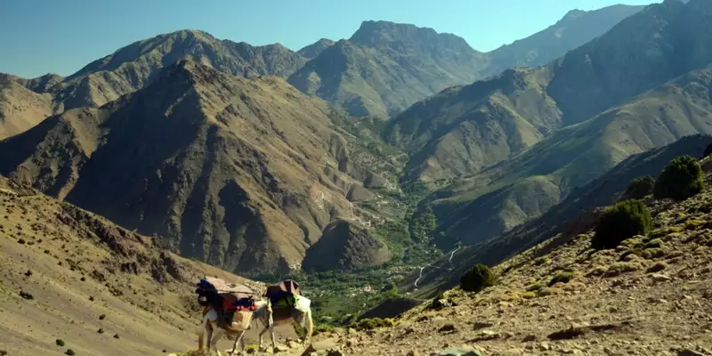 Marokko - Viertausender des Hohen Atlas - Bild 20